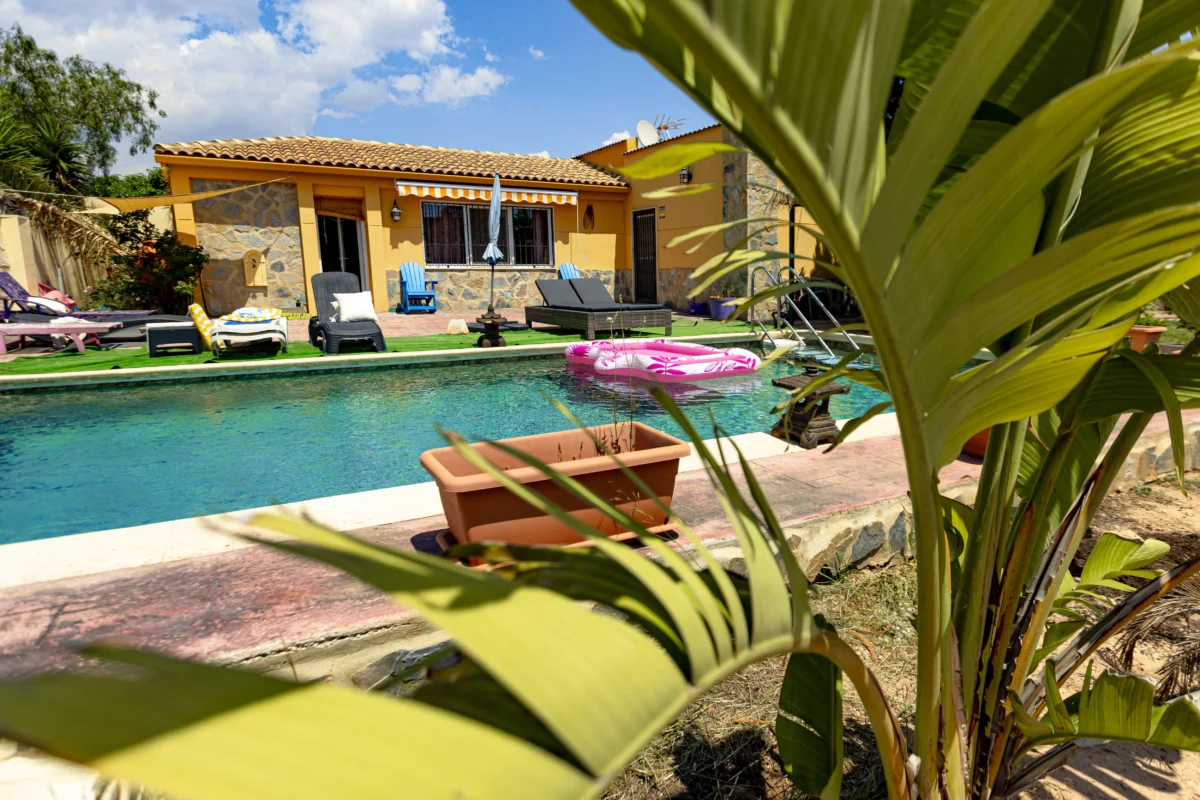 entorno y piscina